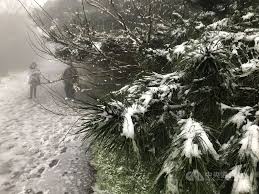 Compound of 白 (shira, white) +‎ 雪 (yuki, snow). Rkwemgdbiwv Xm