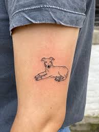 Marbles) and bunny, as well as a hamster named adword sponsorhands (bae). Italian Greyhound Wearing A Turtleneck By Dima At Bandit Studio Brooklyn Ny Jennamarbles