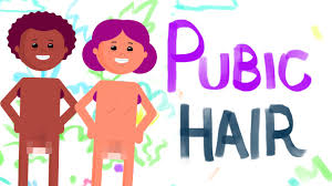 Knowing how to remove pubic hair properly reduces chances of skin irritation. Should You Shave Your Pubes Youtube