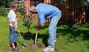 Seasonal gardener join the team that keeps the gardens green! Dream Gardens Jobs To Fill Winter Months Express Co Uk