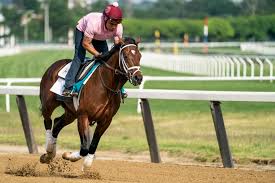 Also the oldest of the three, dating back to 1867, and the longest at 1 1/2 miles, the test of the champion has tremendous buzz when the kentucky derby/preakness winner seeks an historic triple crown sweep. Efe 713opfbxom