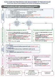 58 Ageless Pressure Injury Chart