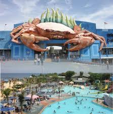 Kecelakaan tunggal itu bermula truk muat petikemas itu melaju dari arah barat ke timur. Wisata Bahari Lamongan