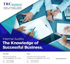 Internal Auditors Are The Eyes And Ears Of Management Make Sure You Are Seeing And Listening Clearly Auditing Account Success Business Internal Audit Dubai