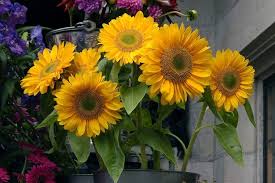 This is dependant on each individual florist however. Best London Florists 16 Fab Florists And Flower Shops In London