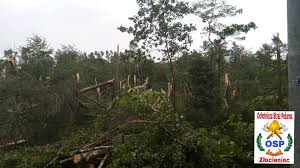 Siała spustoszenie w dwóch podlubelskich gminach: Traba Powietrzna W Zlociencu Wichura Zrywala Dachy I Powalala Drzewa Pomoc Dla Poszkodowanych