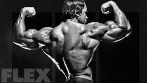 Arnold schwarzenegger mit sohn joseph baena. Arnold Schwarzenegger Back In The Day Muscle Fitness