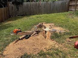 May 28, 2021 · drill holes into the stump. Portable Stump Grinding Machine