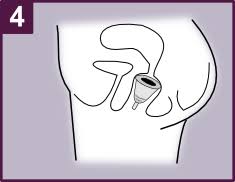 Contrairement à ce que l'on peut imaginer, l'hymen est une fine membrane qui ne couvre que partiellement l'entrée du vagin. Mode D Emploi Coupe Menstruelle Yuuki Cup Lulu Nature