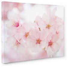 Maybe you would like to learn more about one of these? Pink Flower Canvas Wall Art Cherry Blossom Asian Prints And Posters By Offley Green Houzz