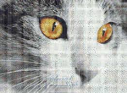 The charts on this page can be where tortie and tabby patterns are combined, the cat has different colour tabby patches e.g shimmering effects either affect the structure of the fur or are due to white or translucent tipping of the. Eyes Of Cat Cross Stitch Pattern Advanced Cross Stitch