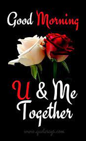 See more ideas about good morning flowers, good morning, good morning greetings. 0d08f2f543e5d0fd41b213ed6efdf84c Imgbb In 2021 Good Morning Roses Good Morning Flowers Good Morning Quotes