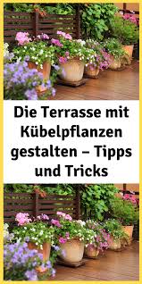 Die Terrasse Mit Kubelpflanzen Gestalten Tipps Und Tricks Plants