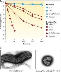 Anti Infective Activities Of Lactobacillus Strains In The Human Intestinal Microbiota From Probiotics To Gastrointestinal Anti Infectious Biotherapeutic Agents Abstract Europe Pmc