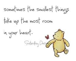 Pin On Quotes For Live