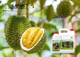 Spray pokok durian guna baja foliar di bentong. Pengguna Bijak Baja K Bio Booster K Bio Booster Plus Facebook