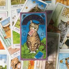 Новинки, лидеры продаж и скидки. Tarot Tarot De Gato Tarjeta De Juego De Mesa Wonderful Sliveal 78 Hojas Tarot De Gatos Paganos Juguetes Y Juegos Com Regalos Originales Y De Broma