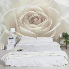 pin auf rosen roses