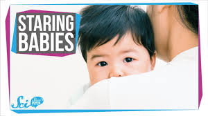 Why Is That Baby Staring At Me Ted Ed