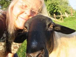 Dorikult: August 2021