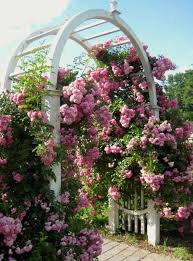 La Belle Vie Garden Arch Garden Arches Garden Vines