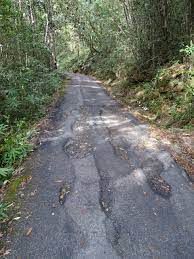 Maybe you would like to learn more about one of these? Mount Jerai Mischief Traveling Bytes