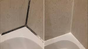 We did not find results for: Cleaning Hack For Removing Mould From Showers With No Scrubbing Goes Viral 7news