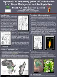 Image result for Peponium