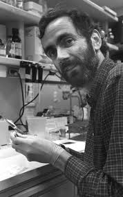 BASIC SCIENCES DIVISION