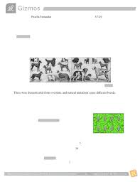 Mutation and selection gizmo : Gizmo Evolution Natural Artificial Selection Student Worksheet Pdf Prisella Fernandez Name Date Student Exploration Evolution Natural And Course Hero