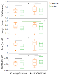 Image result for Physostigma mesoponticum
