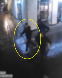 Police release blurred footage of serious assault in Meppel