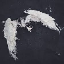 Angel wing abstract canvas print wall art painting keep walking. Aesthetic Angels Wallpapers Wallpaper Cave