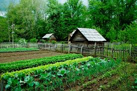 Browse land for sale, property auctions, and more on landwatch.com. 18 Places Giving Out Free Land In 2021 Great For Homesteading