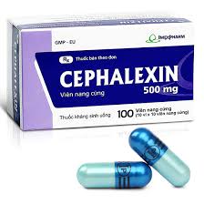 Image result for Cephalexin