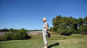 Check spelling or type a new query. Manatee County Investigating Destruction Of Conservation Area Bradenton Herald
