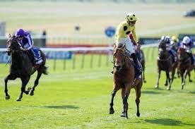 BloodHorse