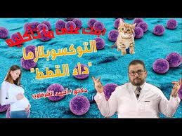 داء القطط التوكسوبلازما وكيفية اصابة المرأه الحامل به ومدي خطورته وكيفيه العلاج منه youtube in 2021 sports frisbee