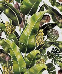 This wallpaper brings the vacation to you, every day! Kingdom Palm Wallpaper Banana Leaf Milton King