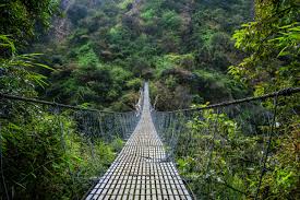 Nepal Suspension Bridge - The Delite