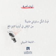 ف ب ت ك أ ن ي ساو ر تني ض ئيل ة م ن الر قش في أ نياب ها الس م ناق ع النابغة الذبياني اقتباسات النابغة ال Arabic Poetry Arabic Quotes Poet Quotes
