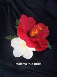 Hawaiian Hibiscus Plumeria Hair Clip Hair Accessory Etsy In 2020 Hawaiian Flower Hair Plumeria Flower Hair Clips