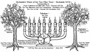 The Godly Purpose Of The Cross The Fish The Menorah And The Star Of David Menorah Meaning 7 Branch Menorah Tree Of Life Meaning