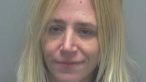 Lee County Arrests 1/11