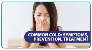Efficacy of chlorpheniramine maleate treatment for rhinovirus colds. Common Cold Symptoms Prevention Treatment Unilab