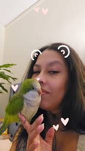 Hello everyone, this is my precious Kiwi. She is 3 yrs old.