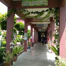 Sekolah agama tengku amalin a'ishah putri mula beroperasi pada 1hb februari 2000 dengan 40 orang pelajar iaitu tingkatan satu dan tahun satu. Sekolah Menengah Agama Tengku Amalin A Ishah Putri 2 Tips De 122 Visitantes