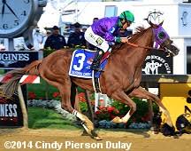 2014 Preakness Results