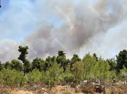 Τμηματα ετεροδημοτων βασικα τμηματα 16ο νηπιαγωγειο ηλιουπολησ αγαμεμνωνοσ 1 16343 ηλιουπολη Wy1m41k51swkum