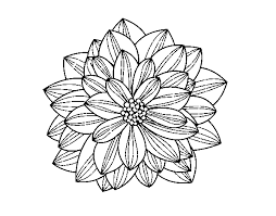 All dahlia flowers flower coloring page drawings pages. Dahlia Flower Coloring Page Coloringcrew Com